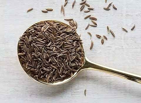 قیمت خرید زیره سیاه خشک عمده به صرفه و ارزان